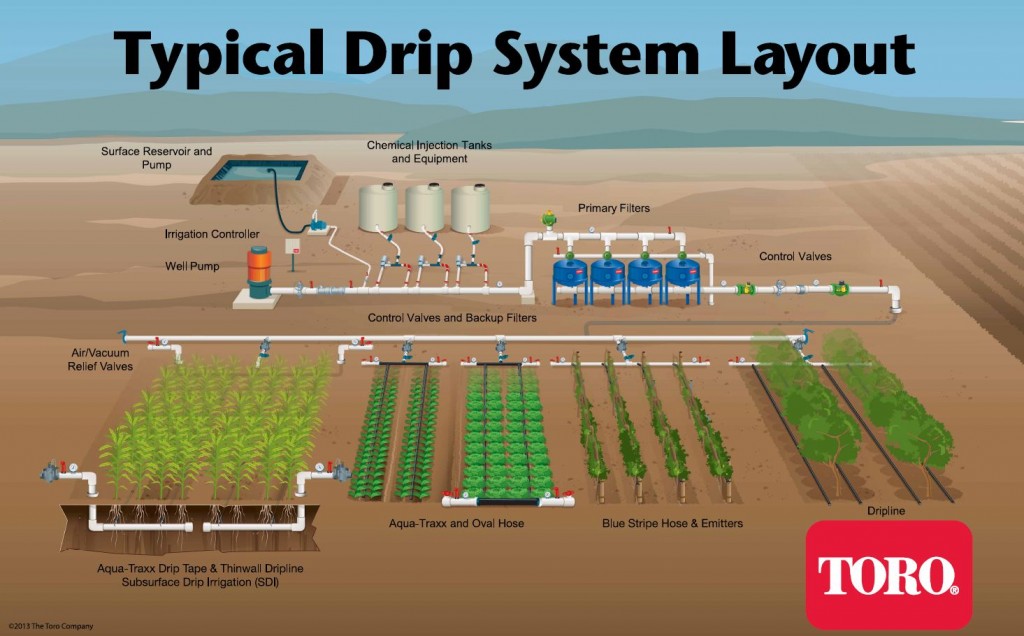 Typical Drip Irrigation Layout DripTips by Toro Ag