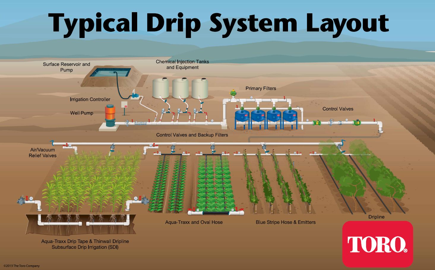 Plant Drip Irrigation System